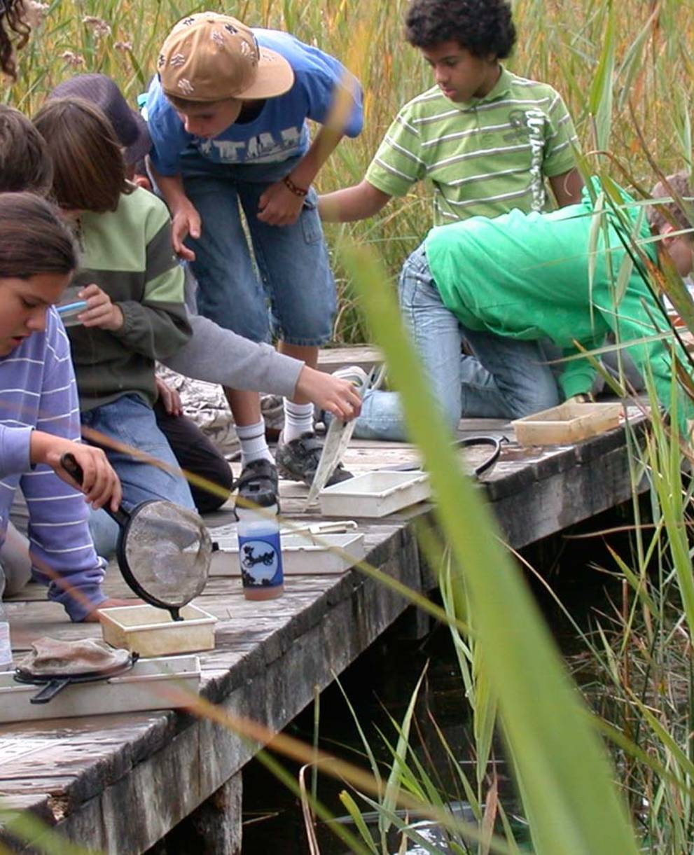 Kinder entdecken Amphibien