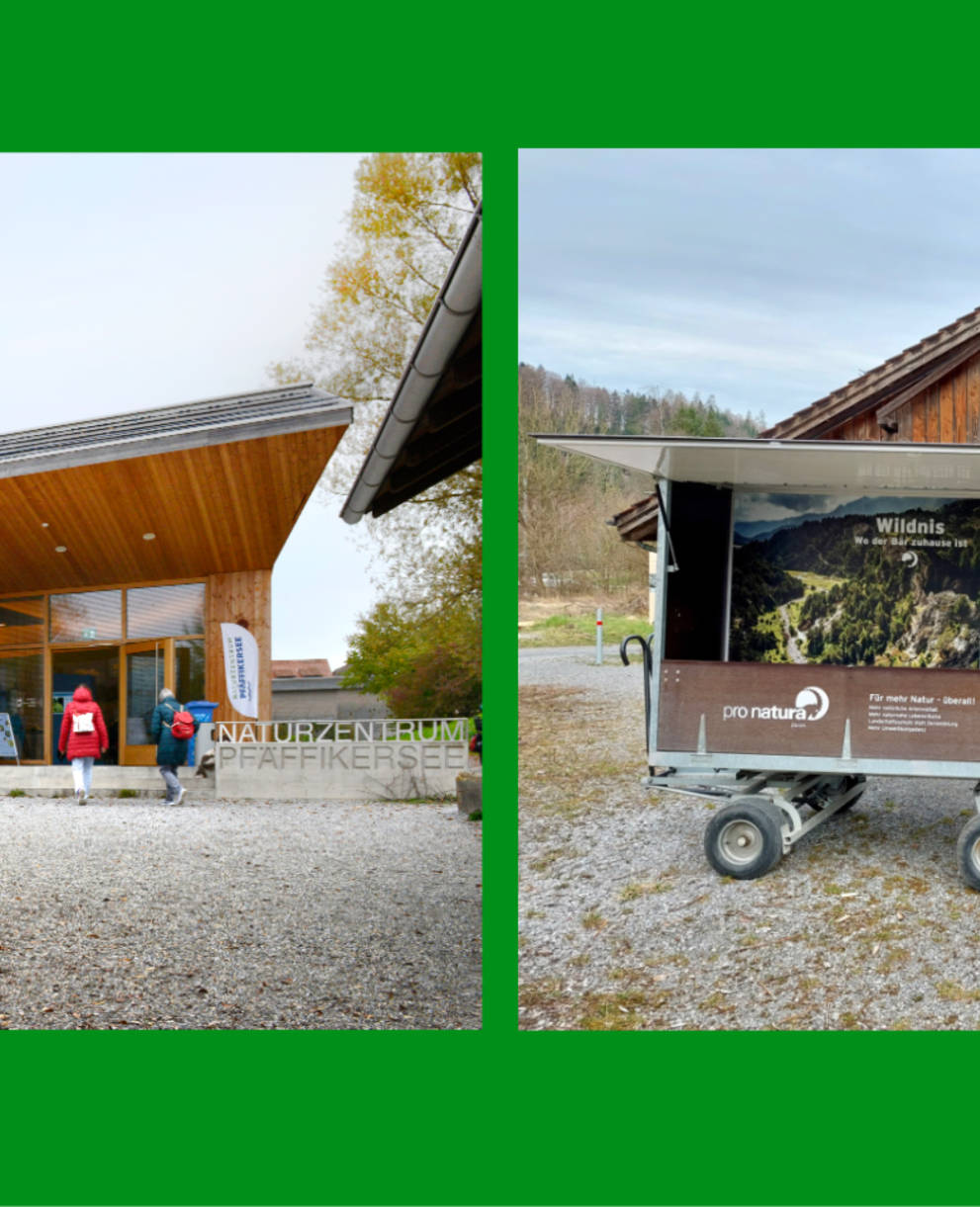 Links: Naturzentrum Pfäffikersee, Rechts: Wildnispark Zürich